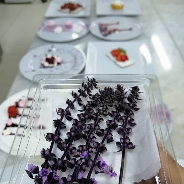 Küçük Dokunuşlarla Büyük Lezzetler - Micro Filizler ve Yenilebilir Çiçekler İstanbul Topkapı Üniversitesi